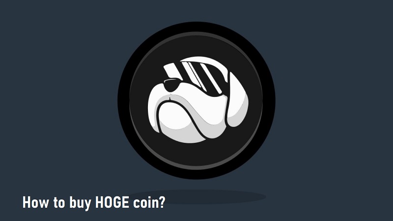 How to buy Hoge Coin?