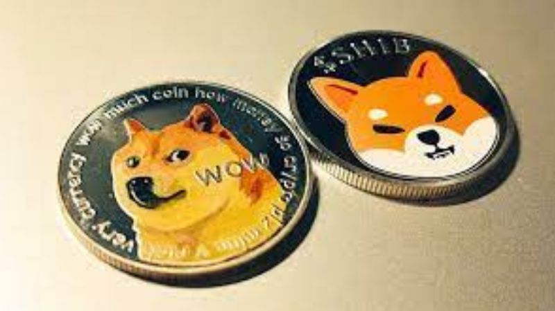 Why Shiba Inu, Dogecoin, and Bitcoin Are Rising Right Now
